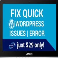 Fix WordPress Issues Only $29 image 1